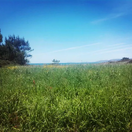 Casa Los Amigos Del Surf Praia Das Furnas Homestay Porto do Son